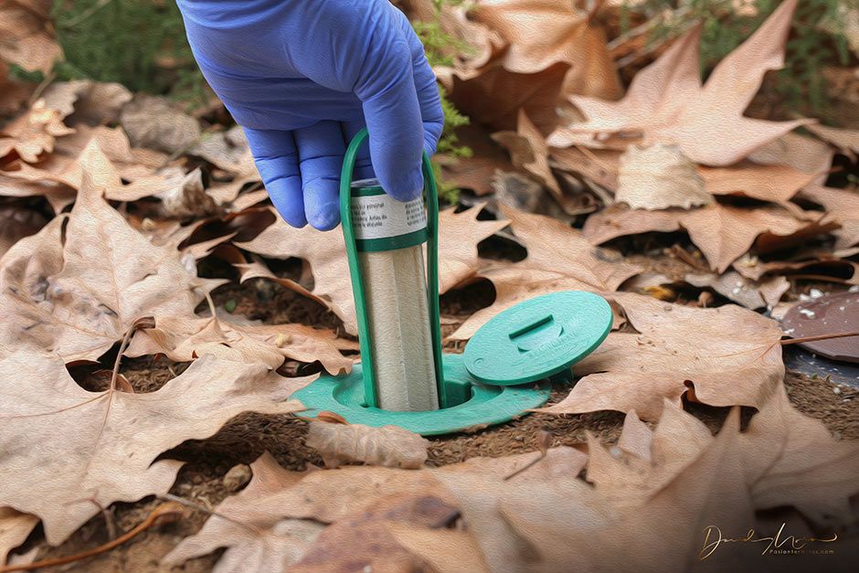 estacion-cebo-sentritech-suelo