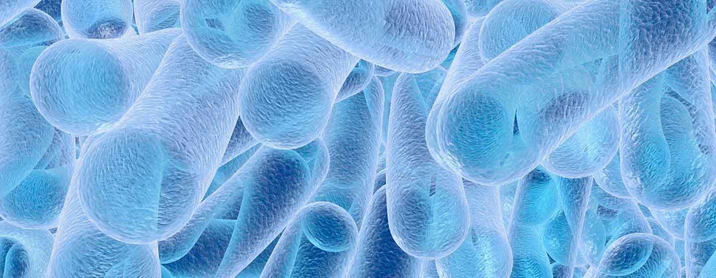 Real Decreto Legionella
