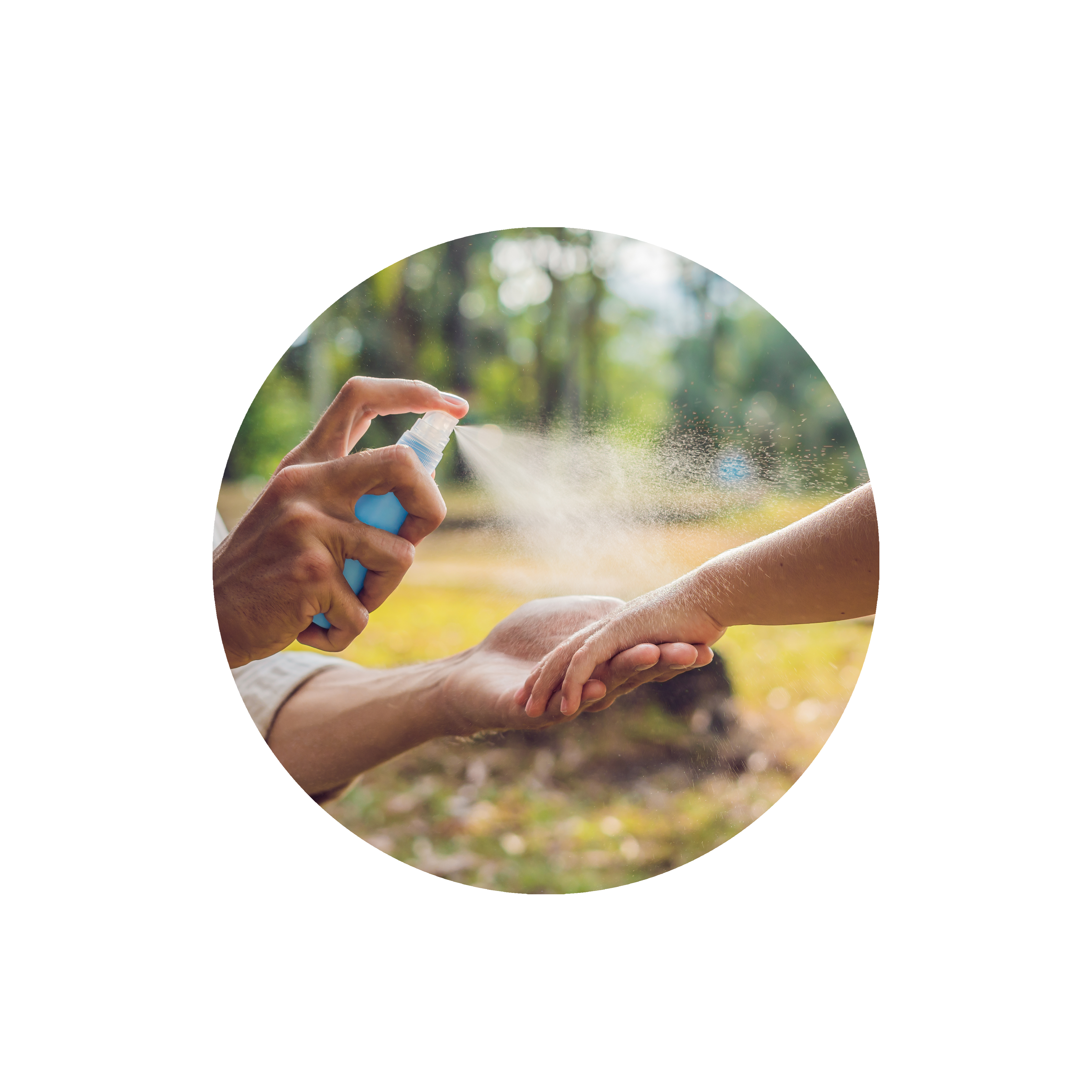 exterminar-mosquitos