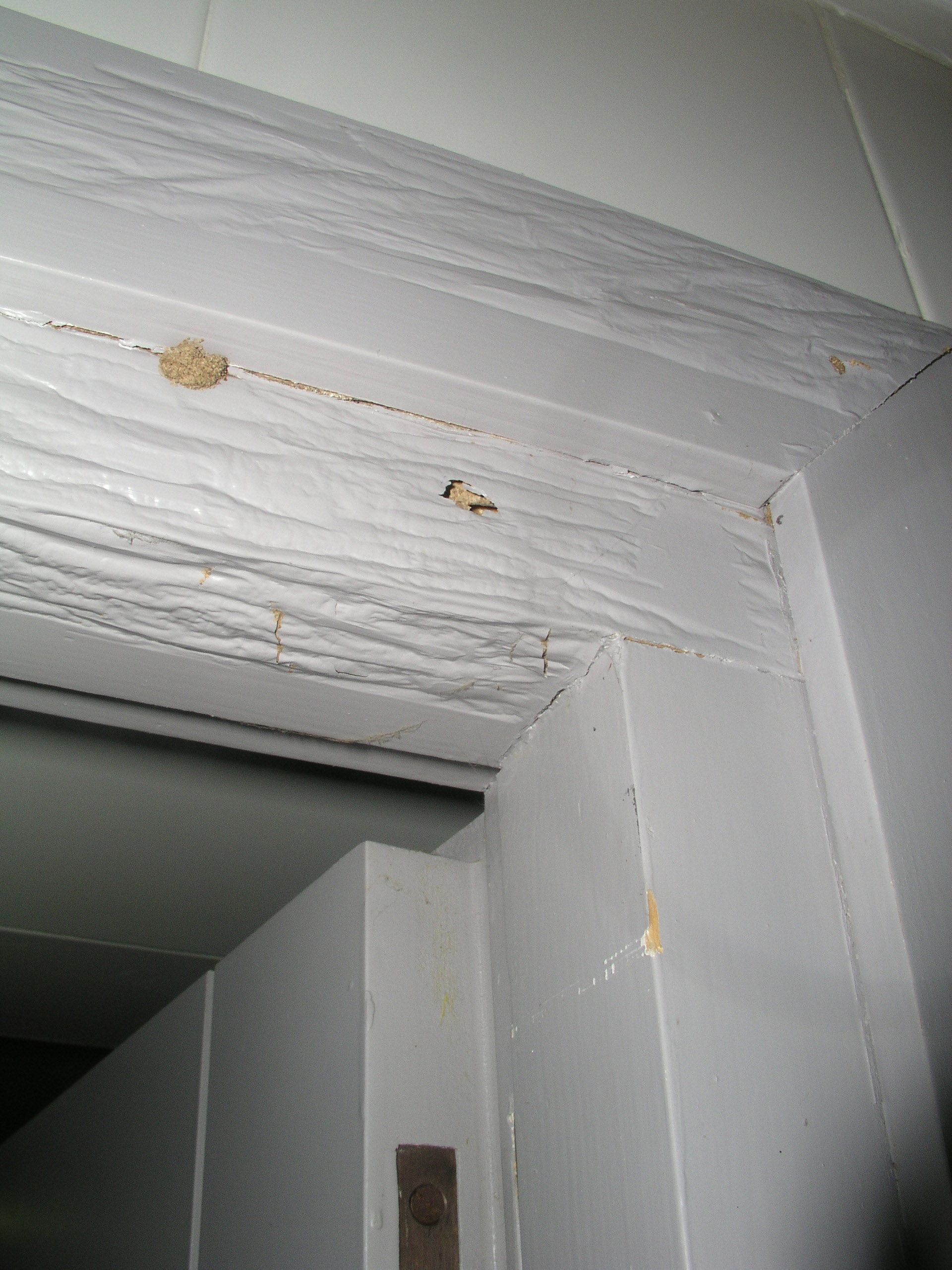 termitas-marco-puertas