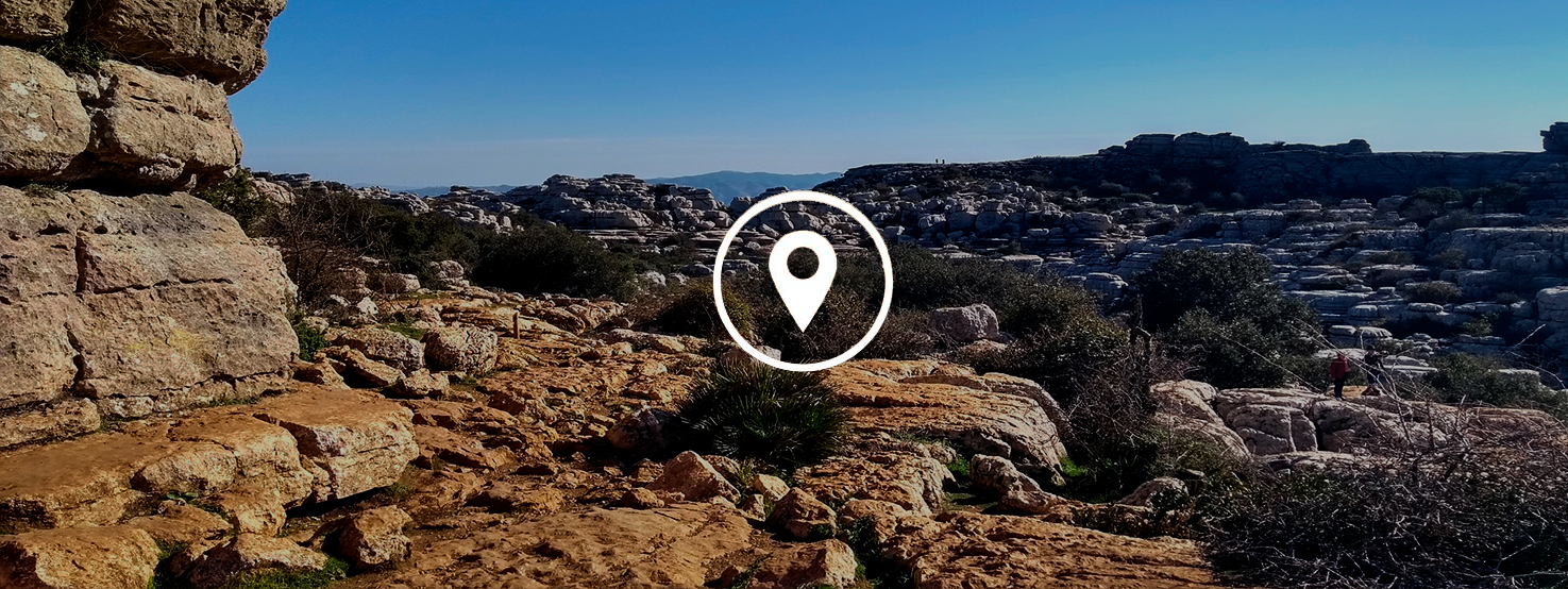 anticimex-en-antequera