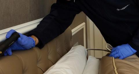 curso-formacion-chinches-hoteles