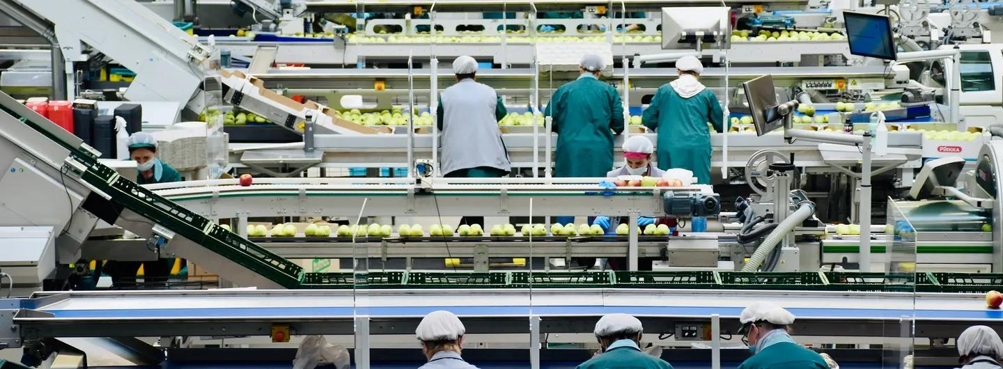 industria-alimentaria-sin-control-de-plagas