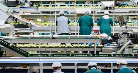 industria-alimentaria-sin-control-de-plagas