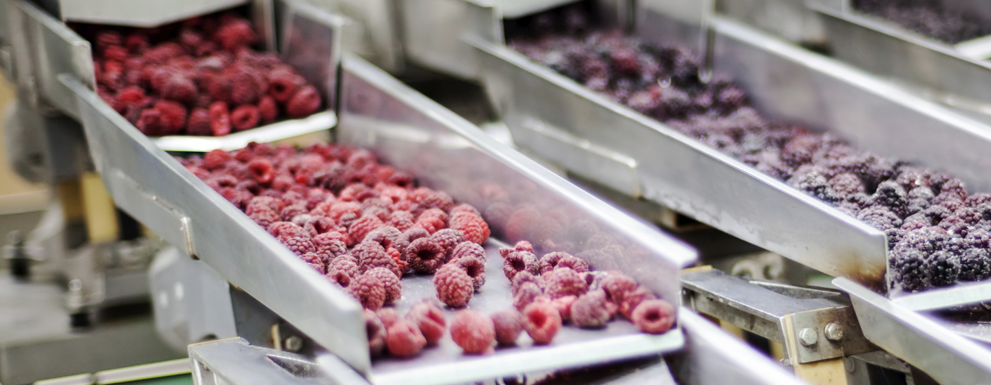 gestion-integrada-de-plagas