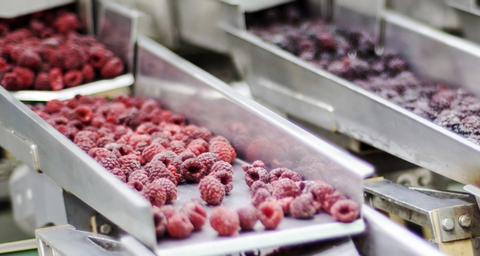 gestion-integrada-de-plagas