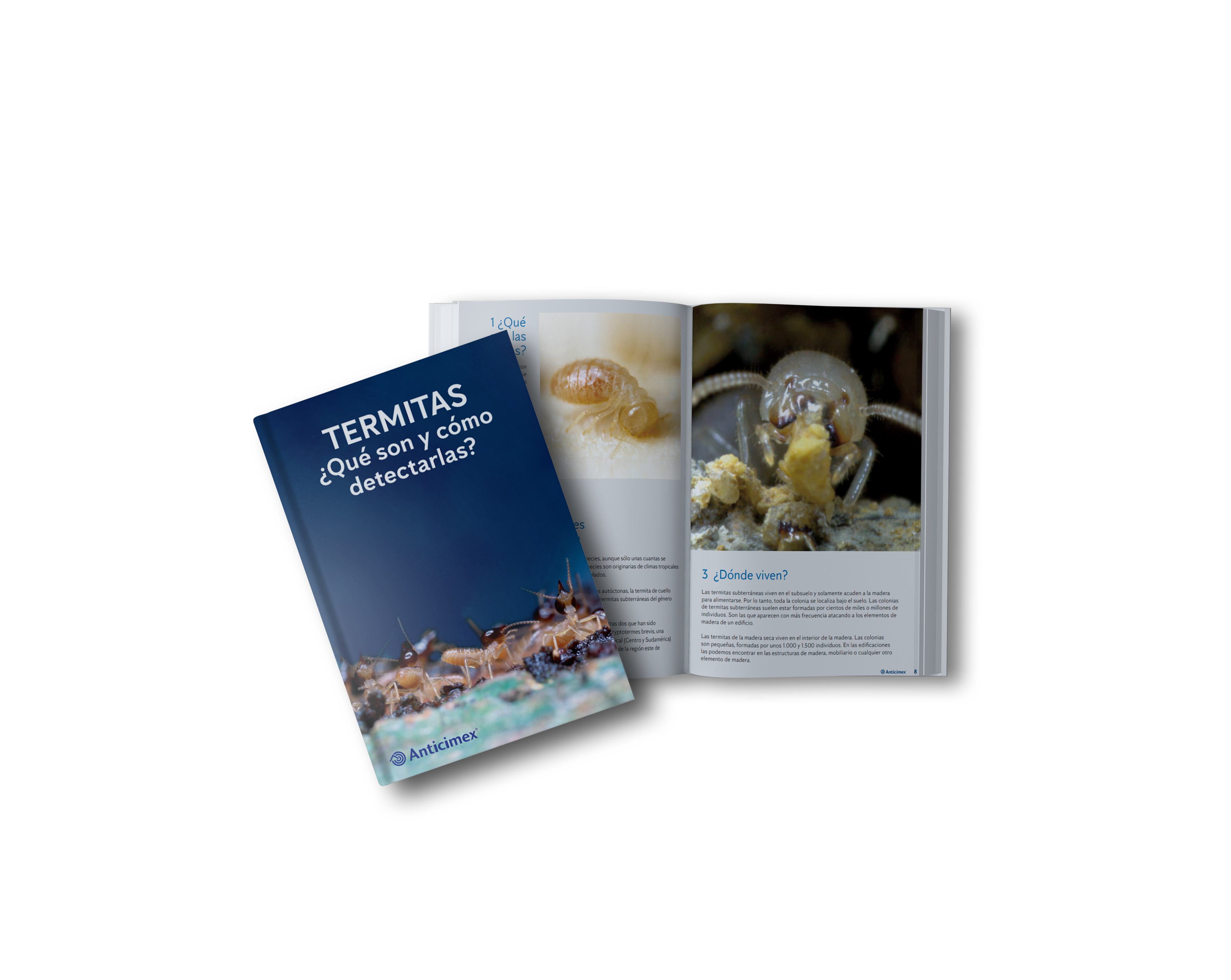 libro-detectrar-termitas