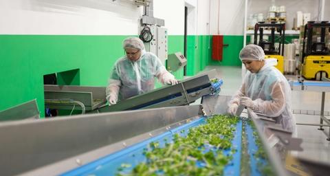 industria-alimentaria-anticimex