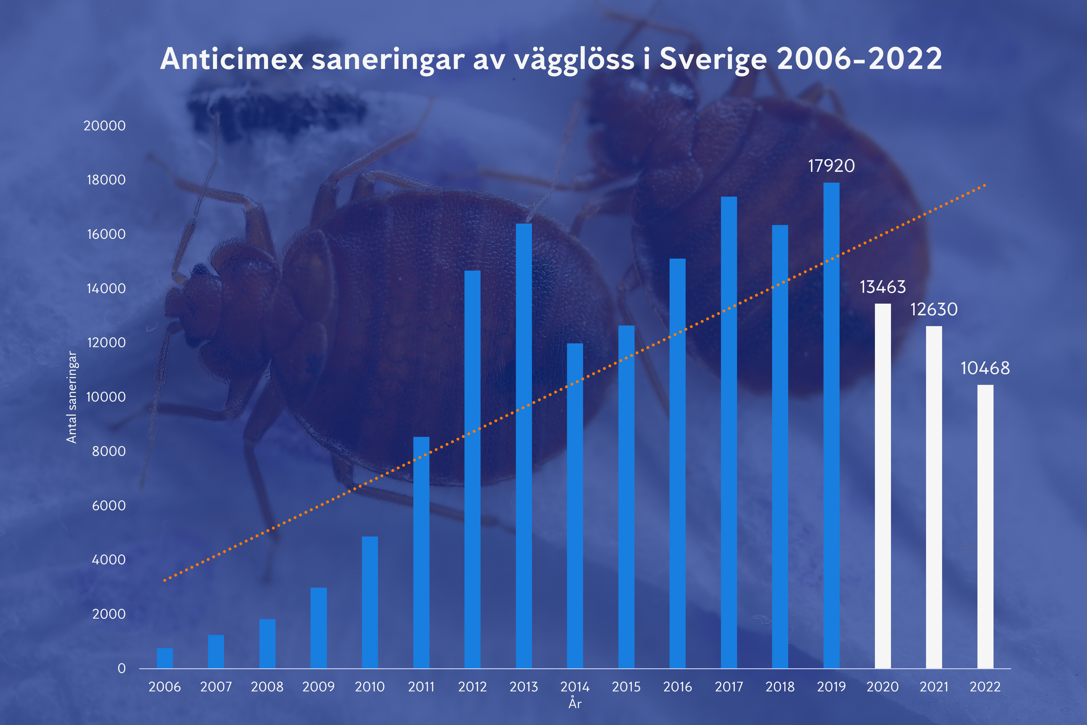 Graf över Anticimex vägglussaneringar i Sverige 2006 till 2022