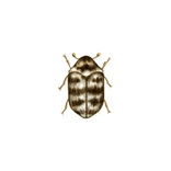 Illustration av mattbaggar