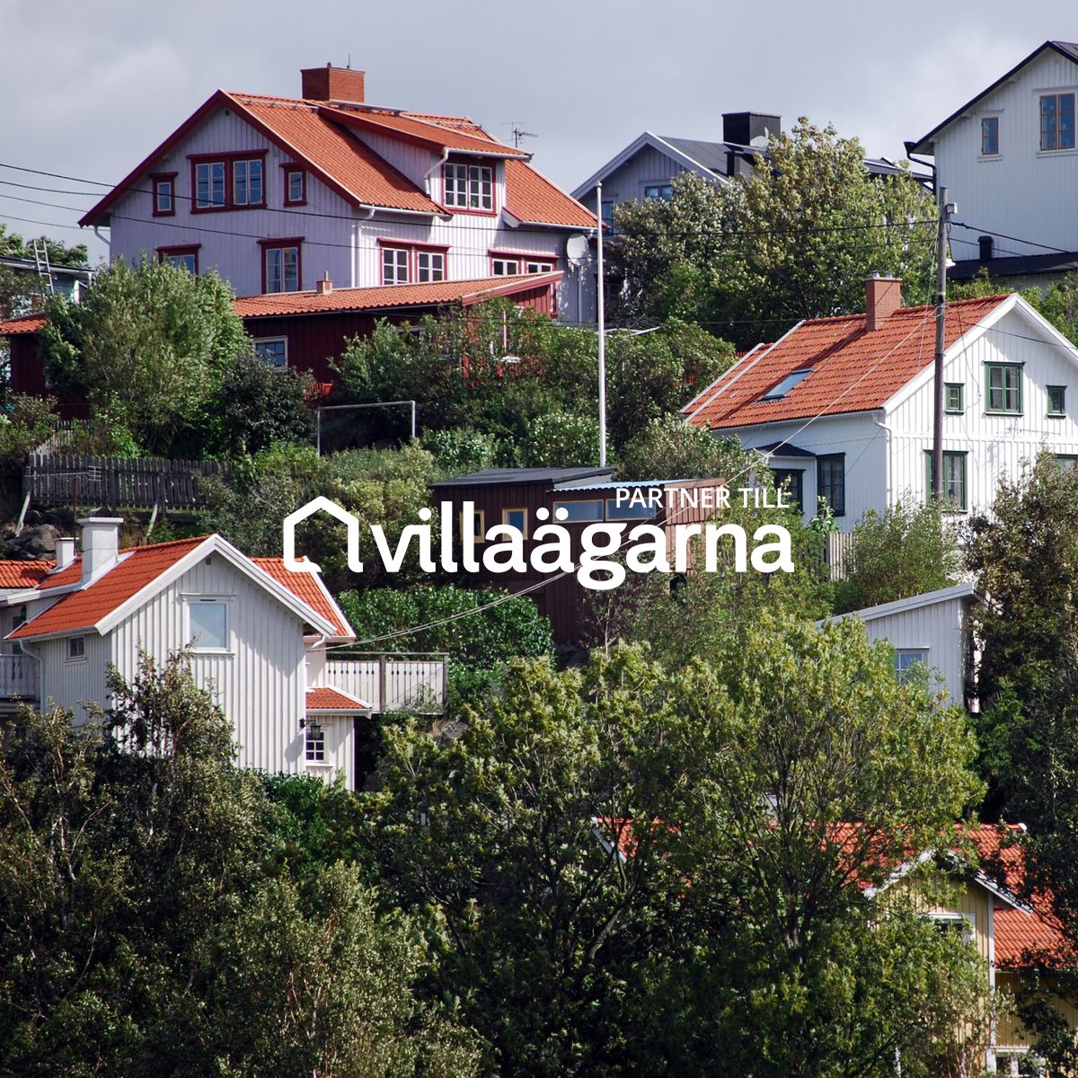 Erbjudanden För Medlemmar I Villaägarna - Anticimex