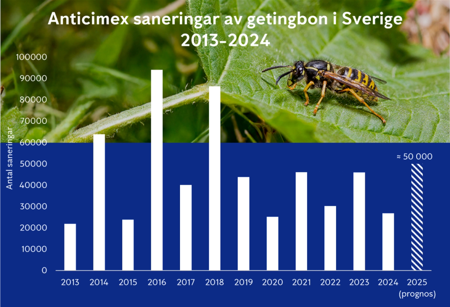 Anticimex graf över saneringar av getingbon 2013-2024 med prognos för sommaren 2025
