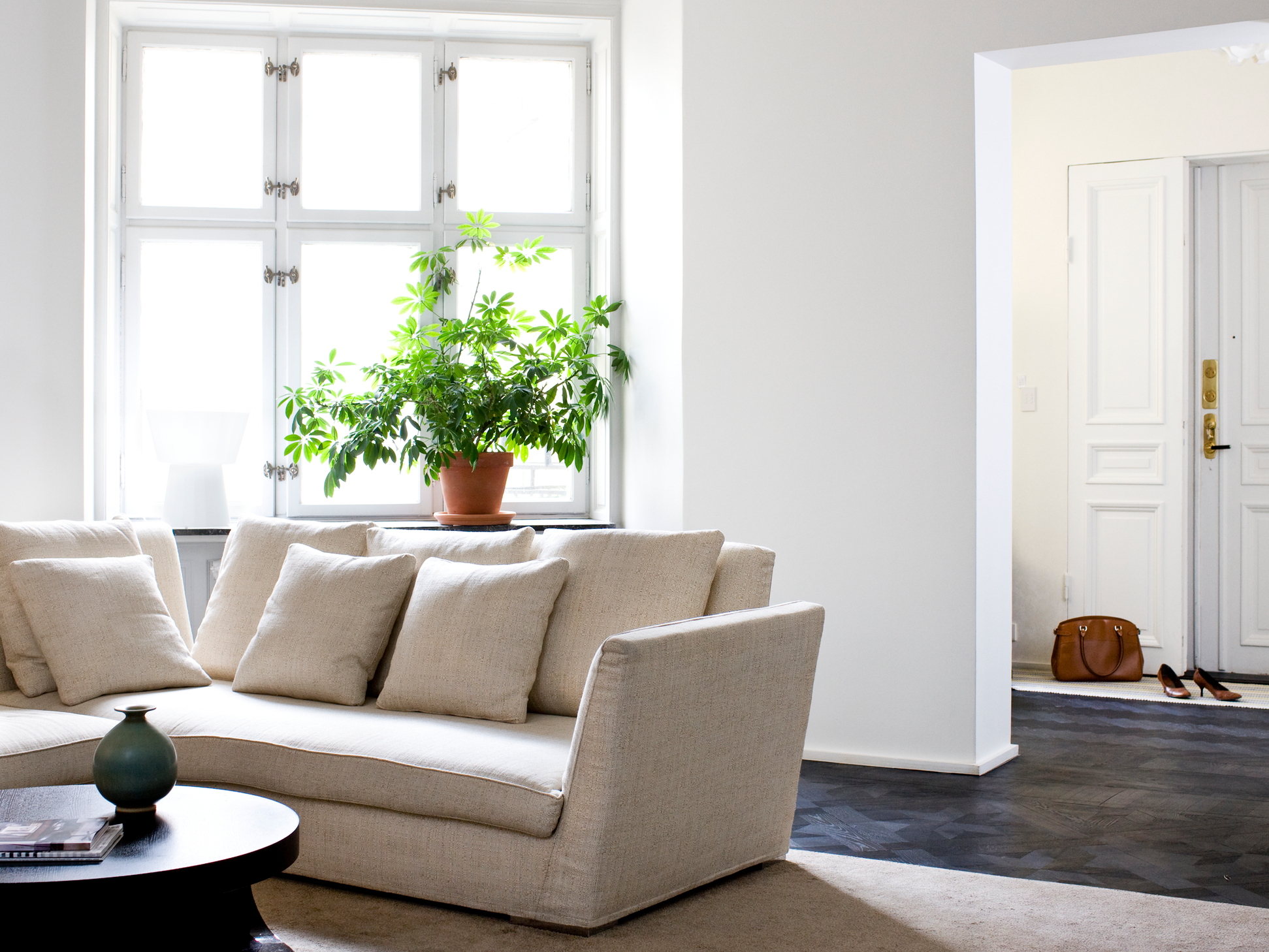 Vitt hus med stor ek i förgrunden längs en kvartersgata