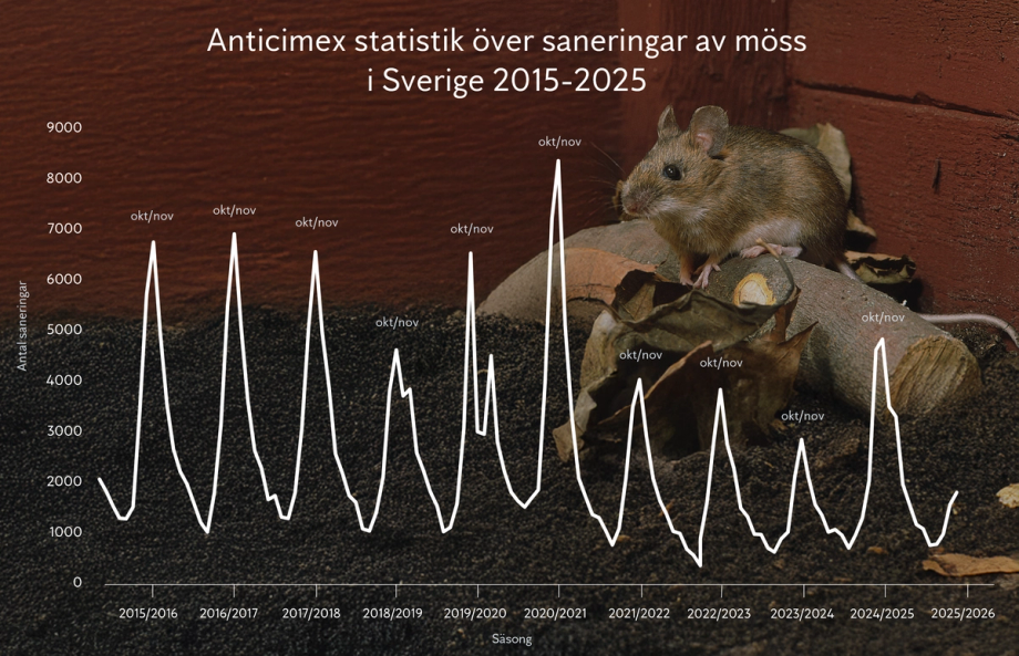 Graf över Anticimex saneringar av möss 2015-2025, över en bild på en skogsmus intill en husfasad