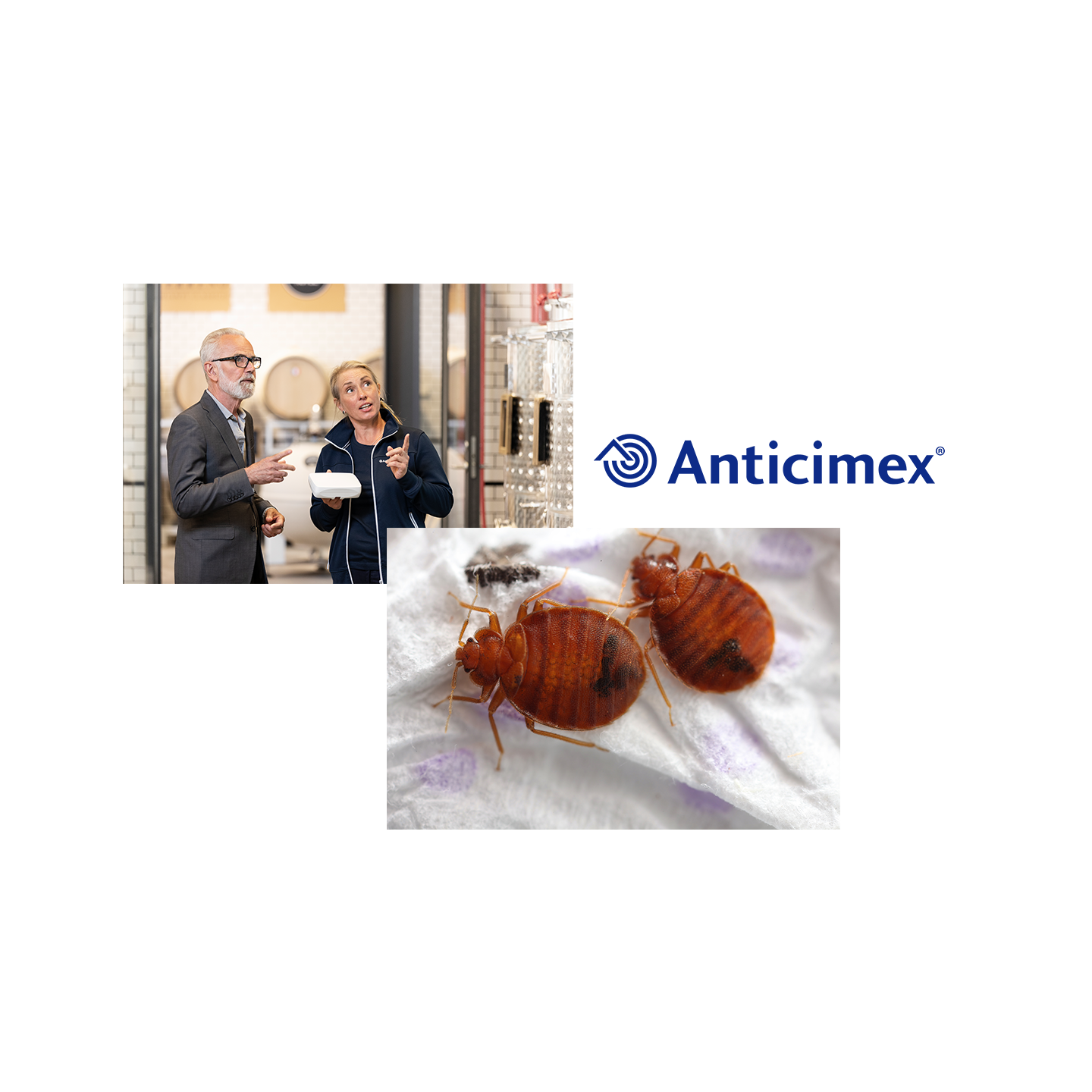 Pressbilder och logotyper, collage