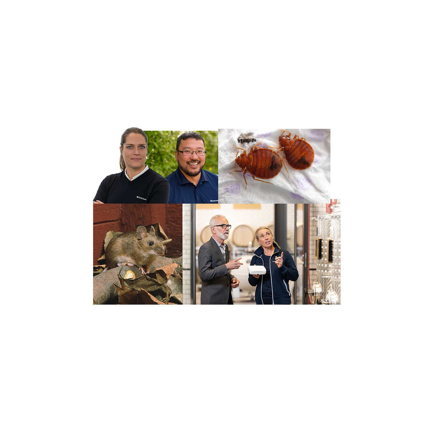 Anticimex pressbilder, collage