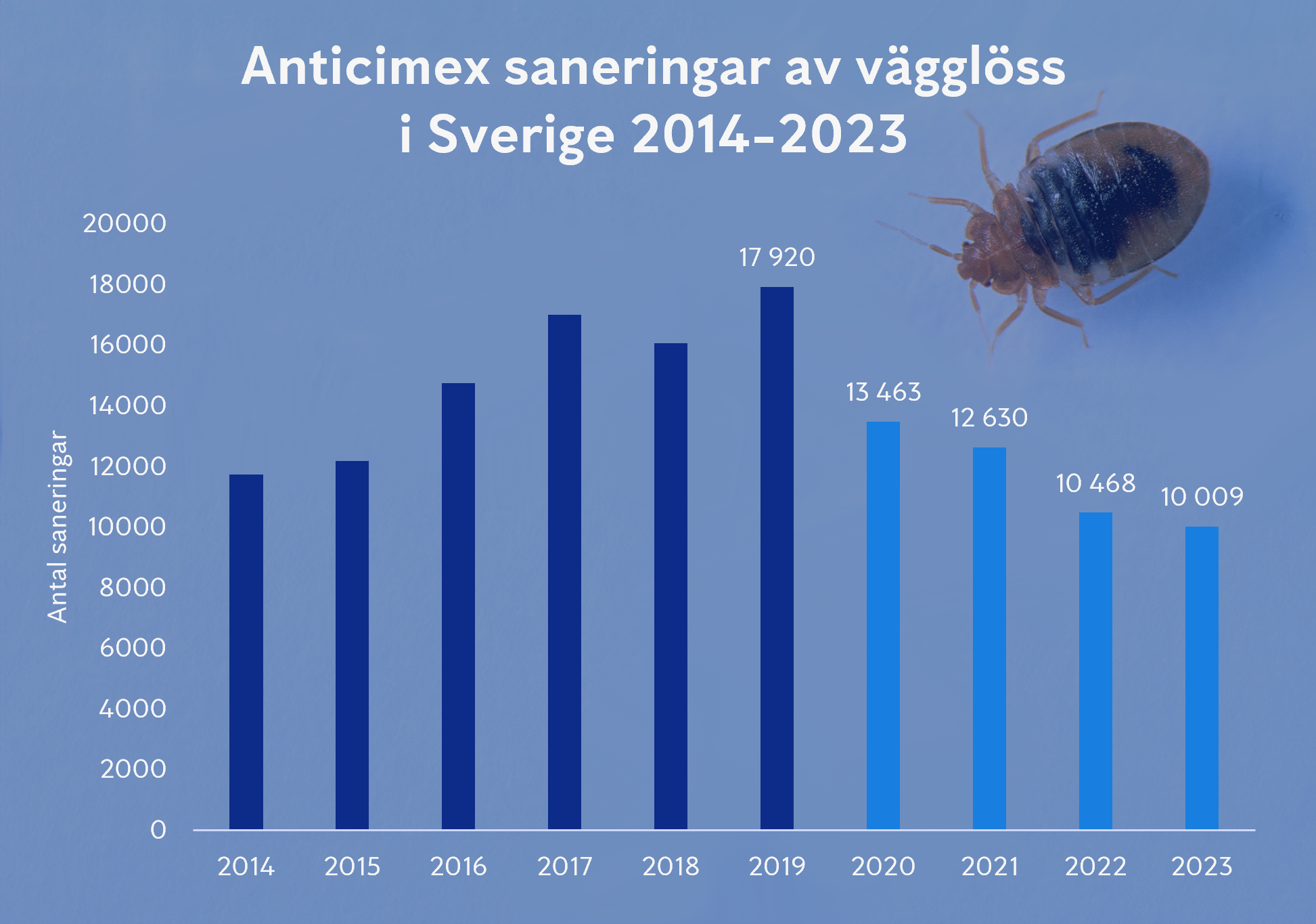 Anticimex graf över saneringar av vägglöss i Sverige 2014-2023