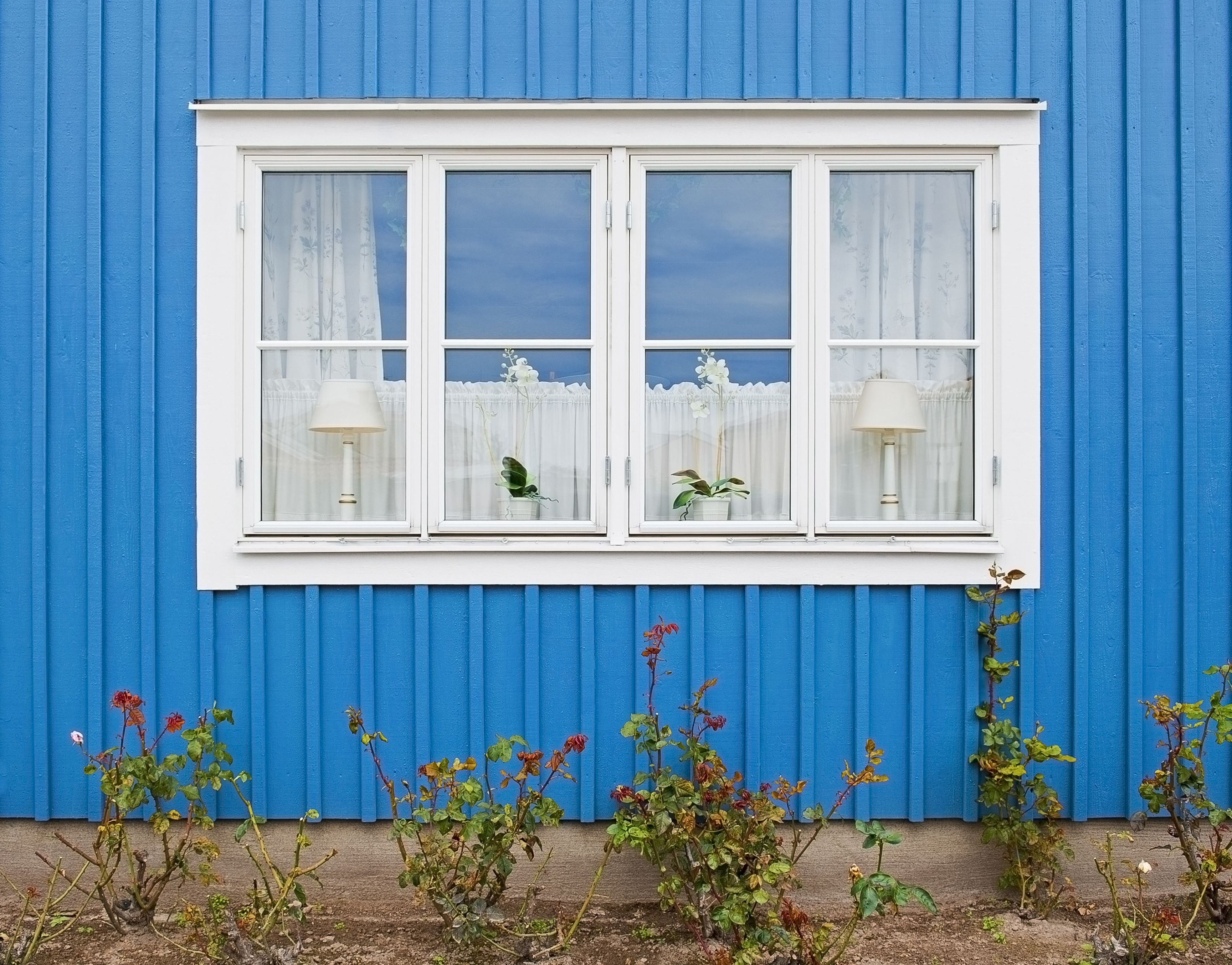 Blå träfasad med vita fönster och växtlighet