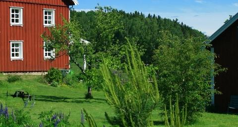 Två röda hus med vita knutar, byggda på krypgrund, i en grönskande trädgård