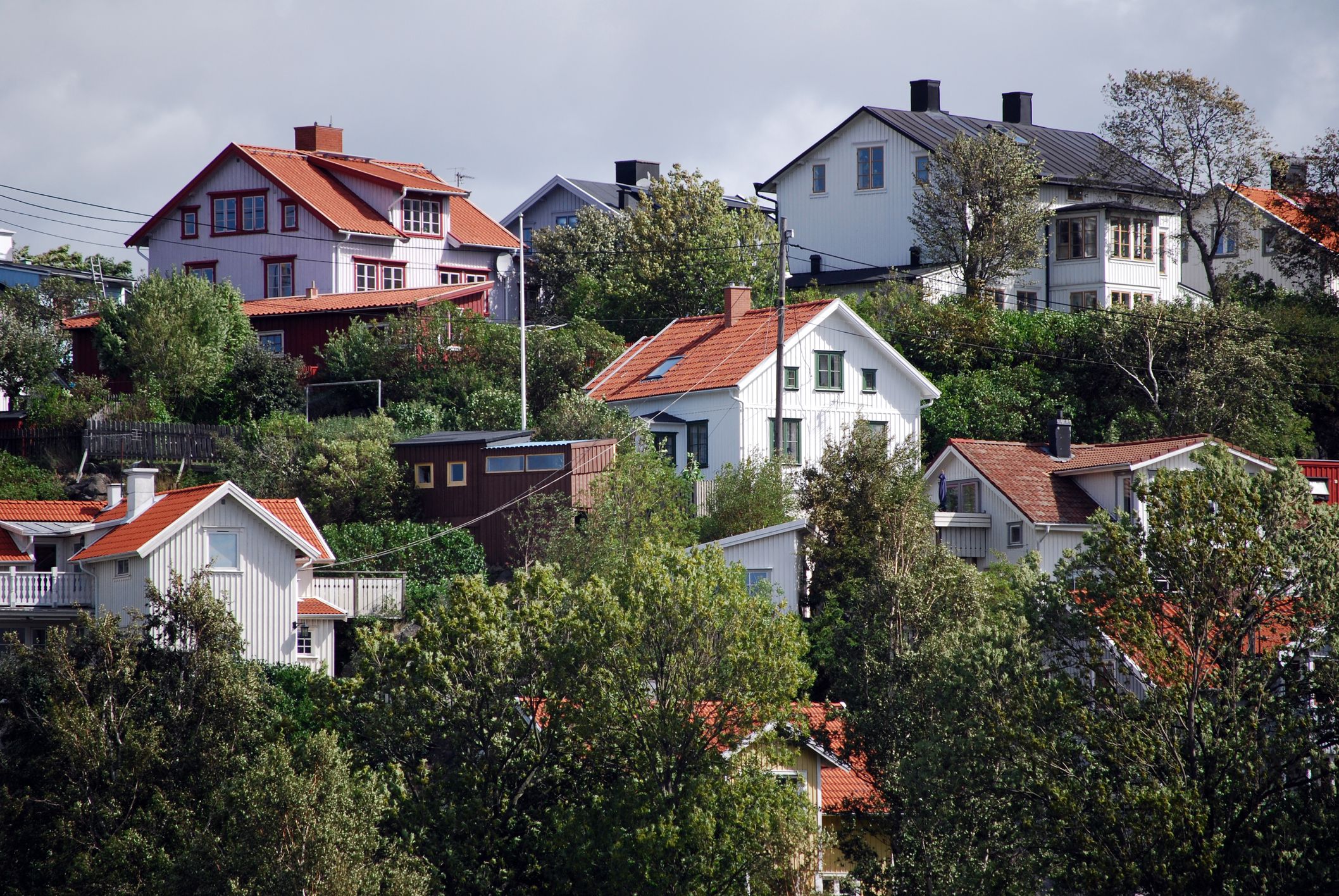 Villaområde med trähus på grönskande kulle