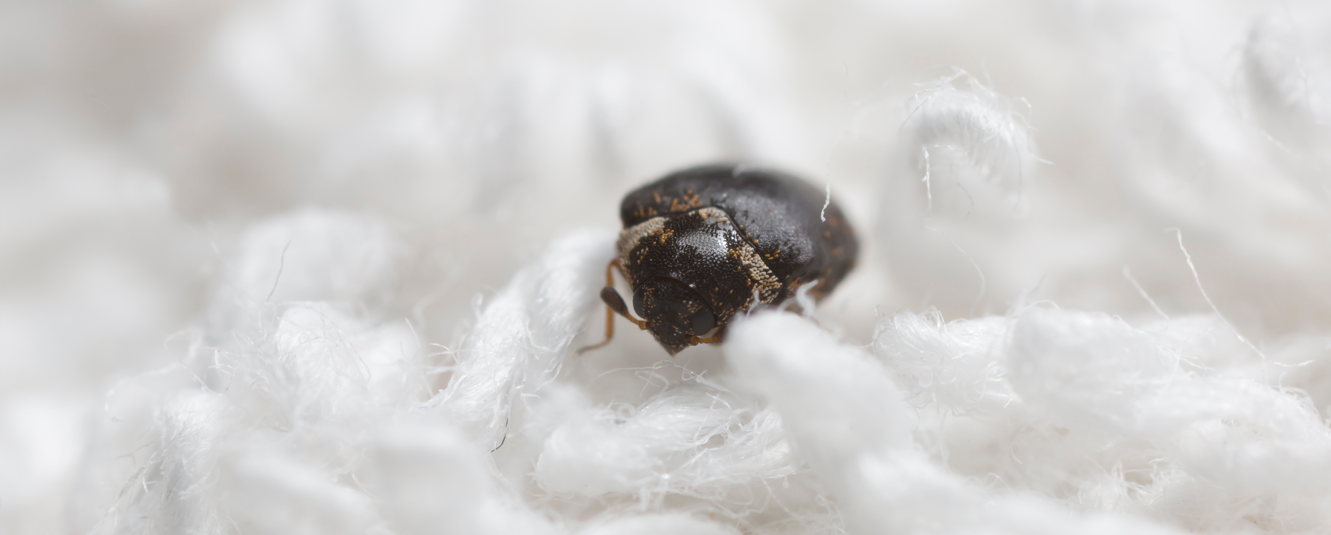 Mattbagge på vit textil