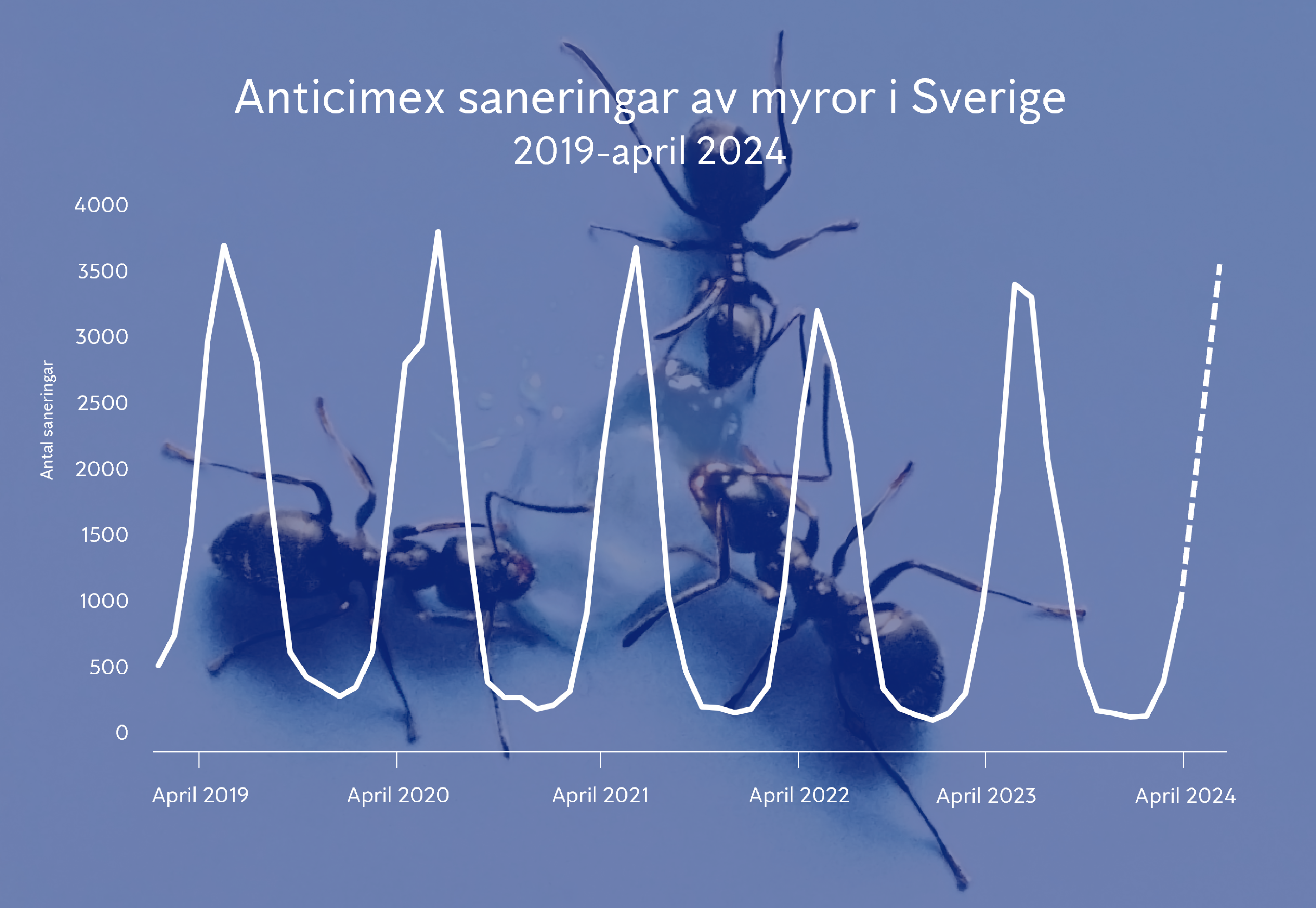 Graf över myrsaneringar i Sverige 2019 till april 2024