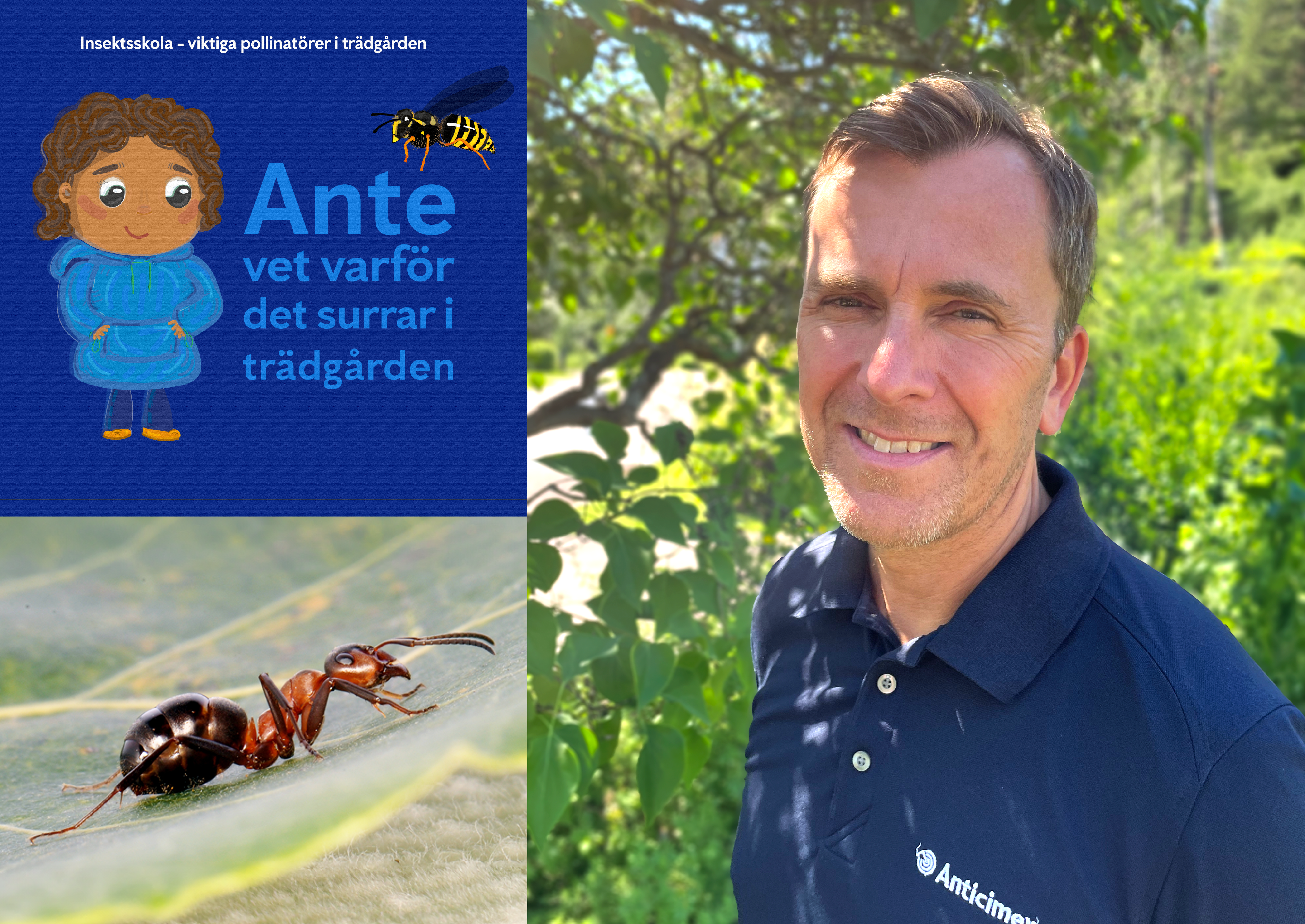 Collage med Anticimex illustrerade barnbok "Ante vet varför det surrar i trädgården", en stackmyra på ett blad och porträtt av Anticimex skadedjursexpert Anders Brandin