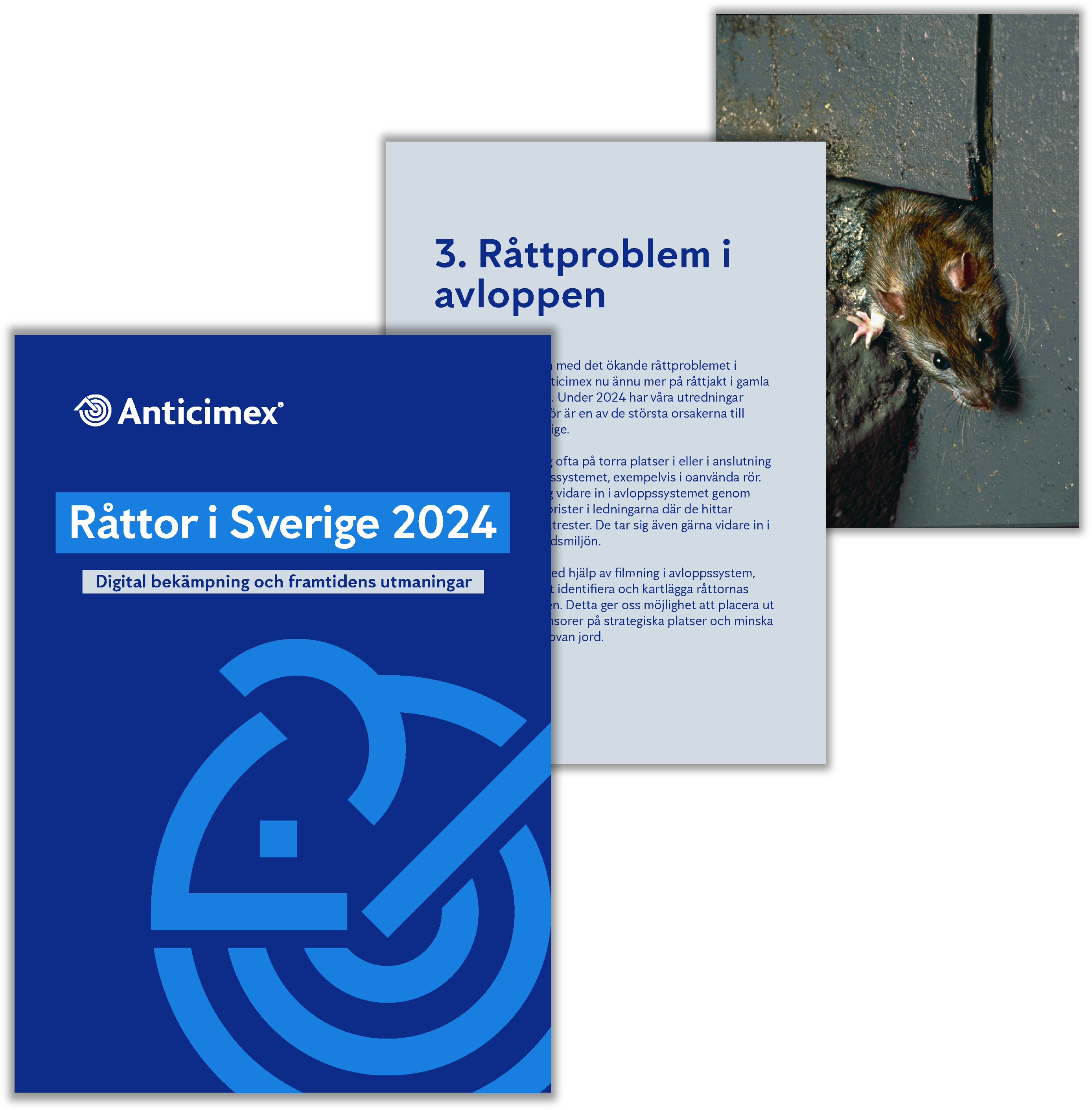 Miniatyrbild av Anticimex råttrapport med texten " Råttor i Sverige 2024 - Digital bekämpning och framtidens utmaningar" med mörklblå bakgrund och ljusblå ikon av en gnagare