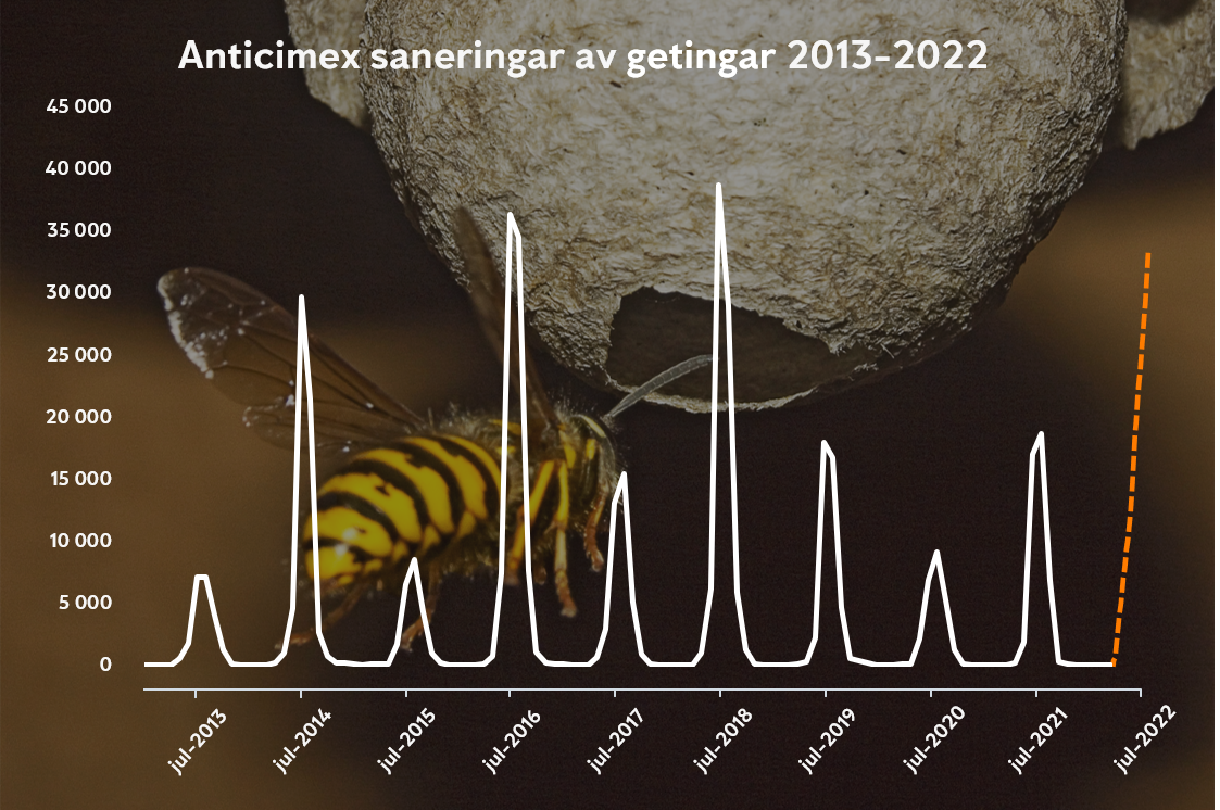 Graf över Anticimex saneringar av getingar 2013-2022 med en bakgrund där en geting flyger mot ett litet getingbo