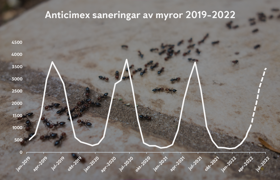 Graf över Anticimex saneringar av myror 2019-2022 med en ljus bakgrund med en myrstig och en mörk toning över