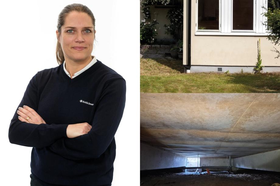 Collage med Anticimex husexpert Johanna Lindström, en ventilationslucka till ett krypgrundshus samt inuti en krypgrund med mögel på blindbotten på bjälklagets undersida
