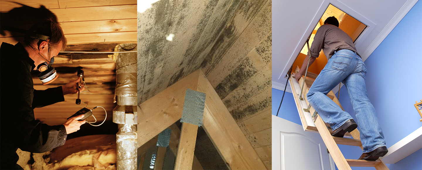 Fuktskador på vinden, collage