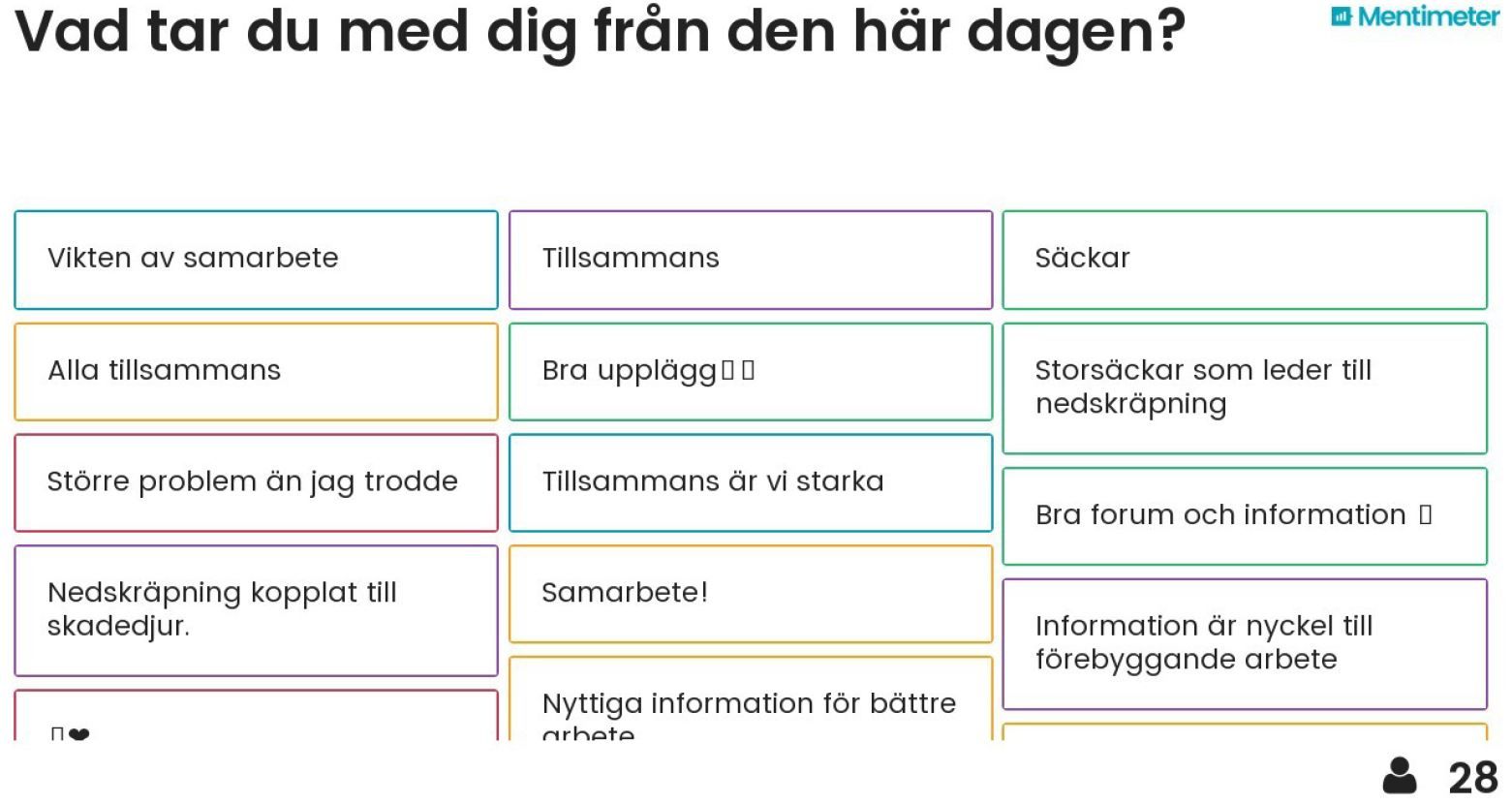vad-tar-du-med-dig