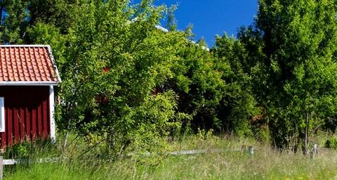 Ett litet rött hus i grönskan