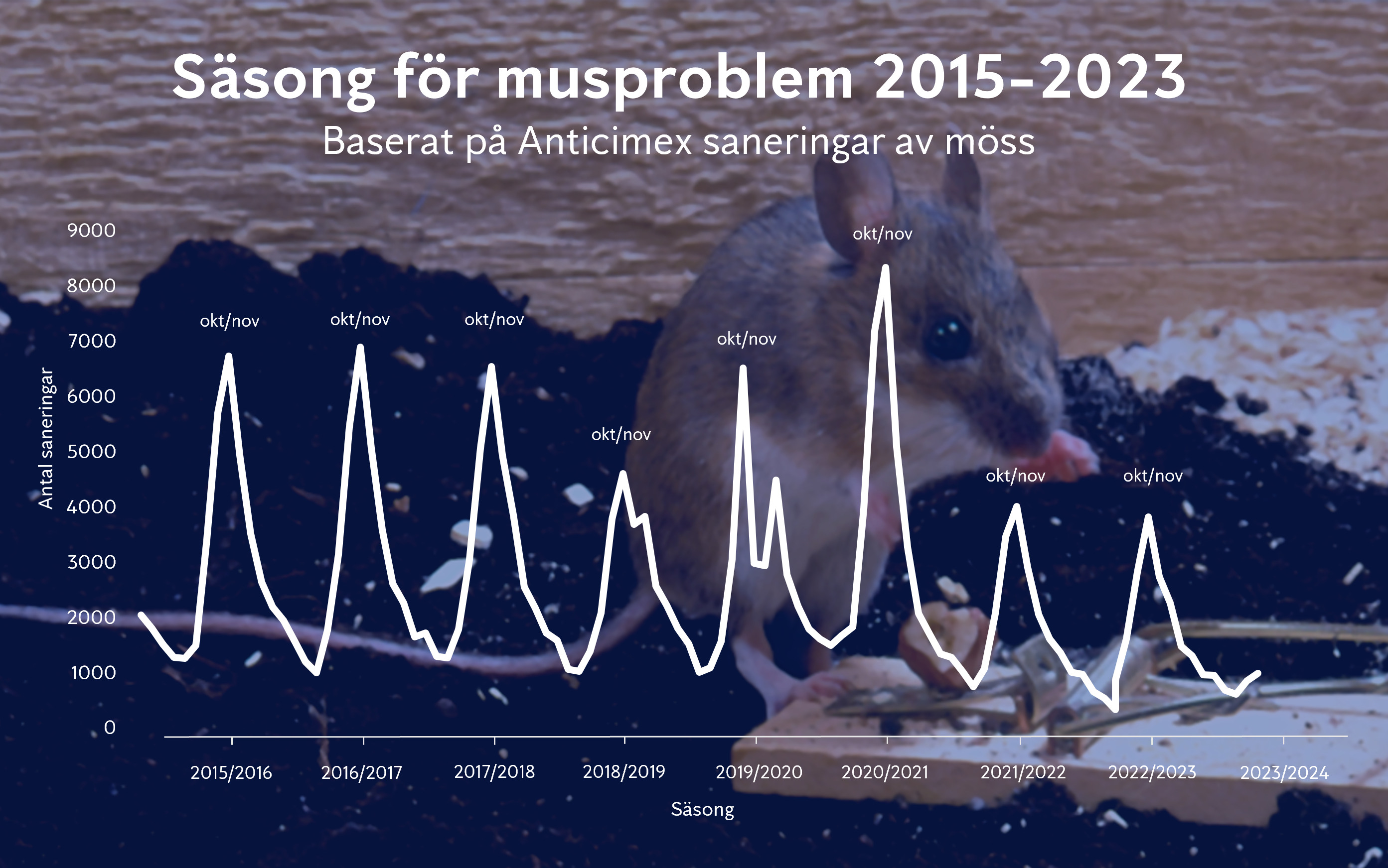 Graf över Anticimex saneringar av möss 2015-2023