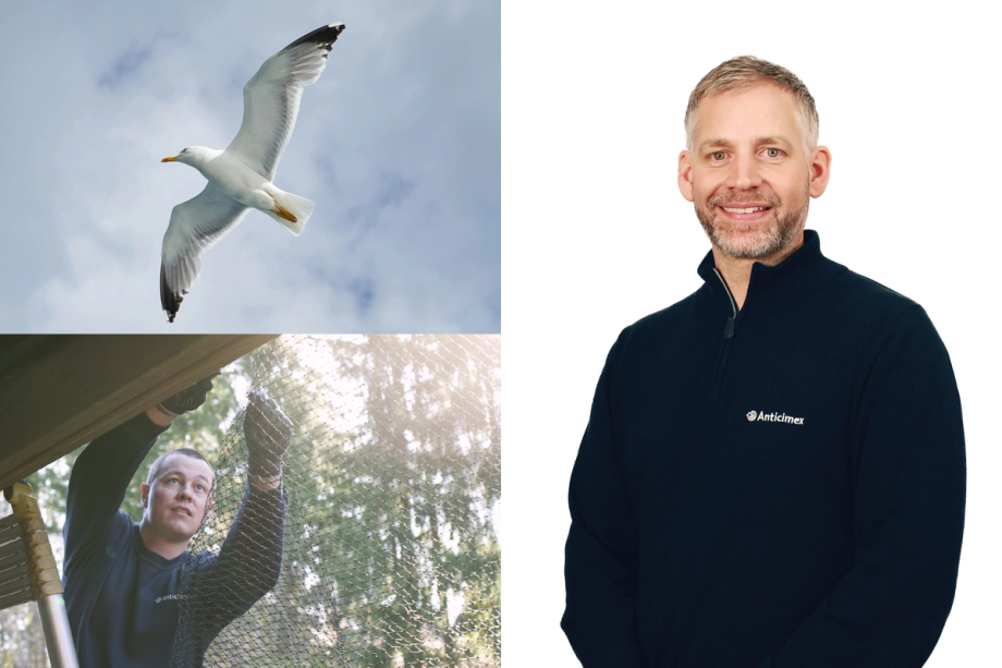 Collage med Anticimex skadedjursexpert Magnus Rosenholm, en skadedjurstekniker som fågelsäkrar en balkong med nät och en fiskmås som svävar i skyn.