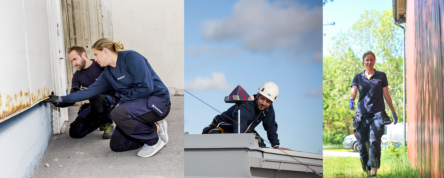 Kollage av Anticimex tekniker som utför skadedjurskontroll utomhus och inomhus