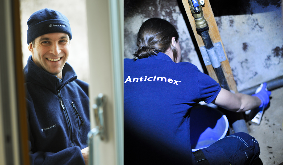 Anticimextekniker 2000-talet, tekniker