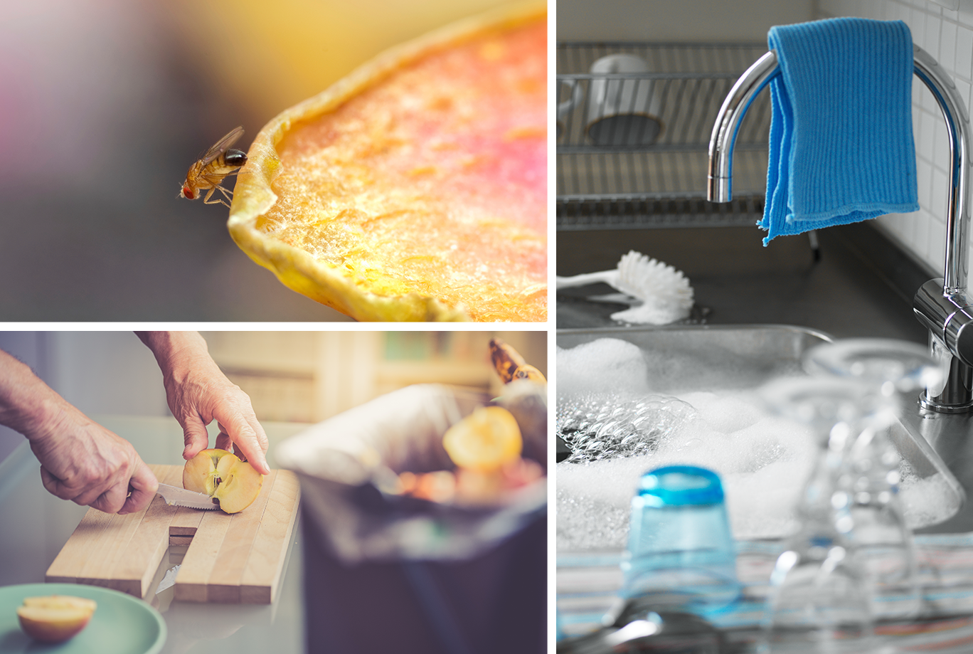 Collage med en fruktfluga på en torkad fruktbit, en vattenfylld diskho med en blå disktrasa som hänger på kranen samt händer som skär ett äpple på en träskärbräda