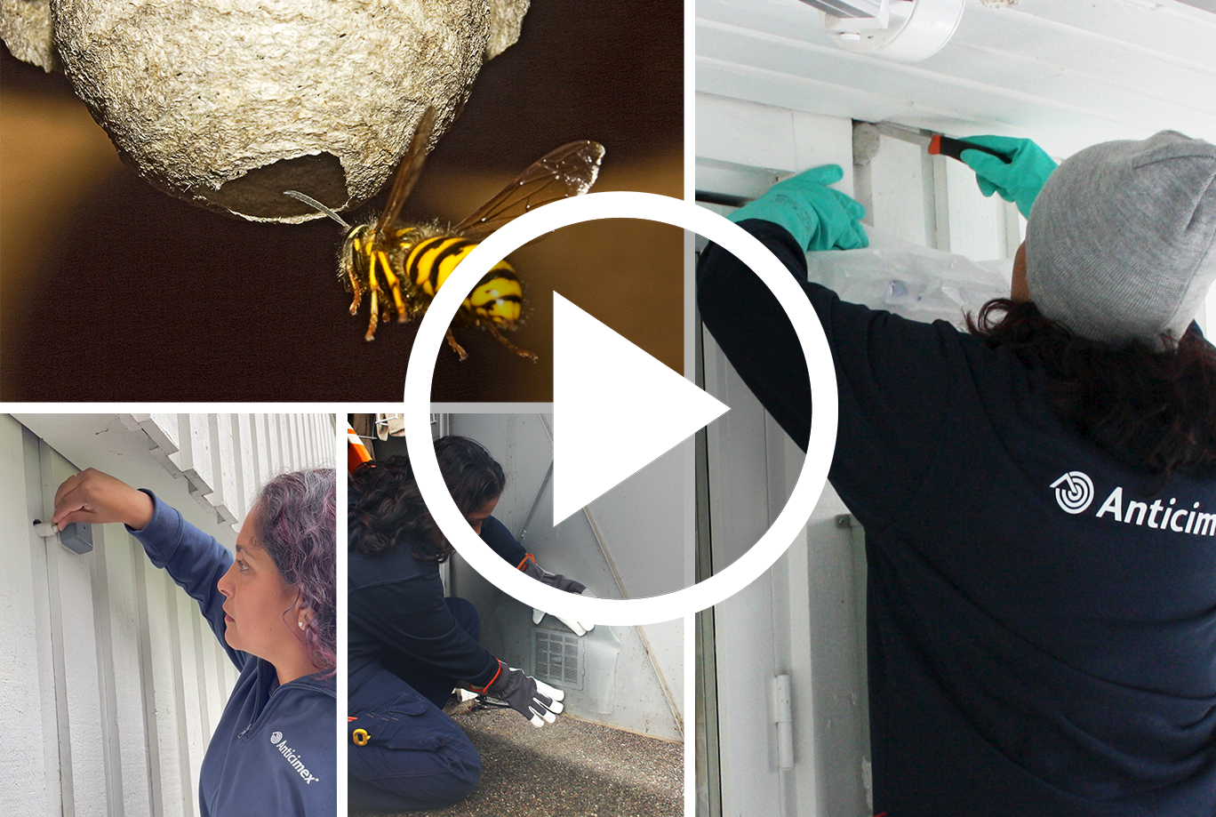 Collage där Anticimex skadedjurstekniker getingsäkrar runt huset