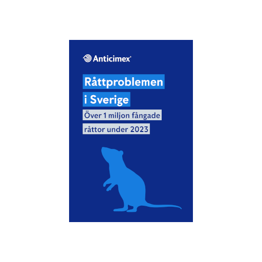 Miniatyrbild på framsidan av Anticimex råttrapport "Råttproblemen i Sverige - Över en miljon fångade råttor under 2023" med en mörkblå bakgrund och en ljusblå illustration av en råtta som står på bakbenen