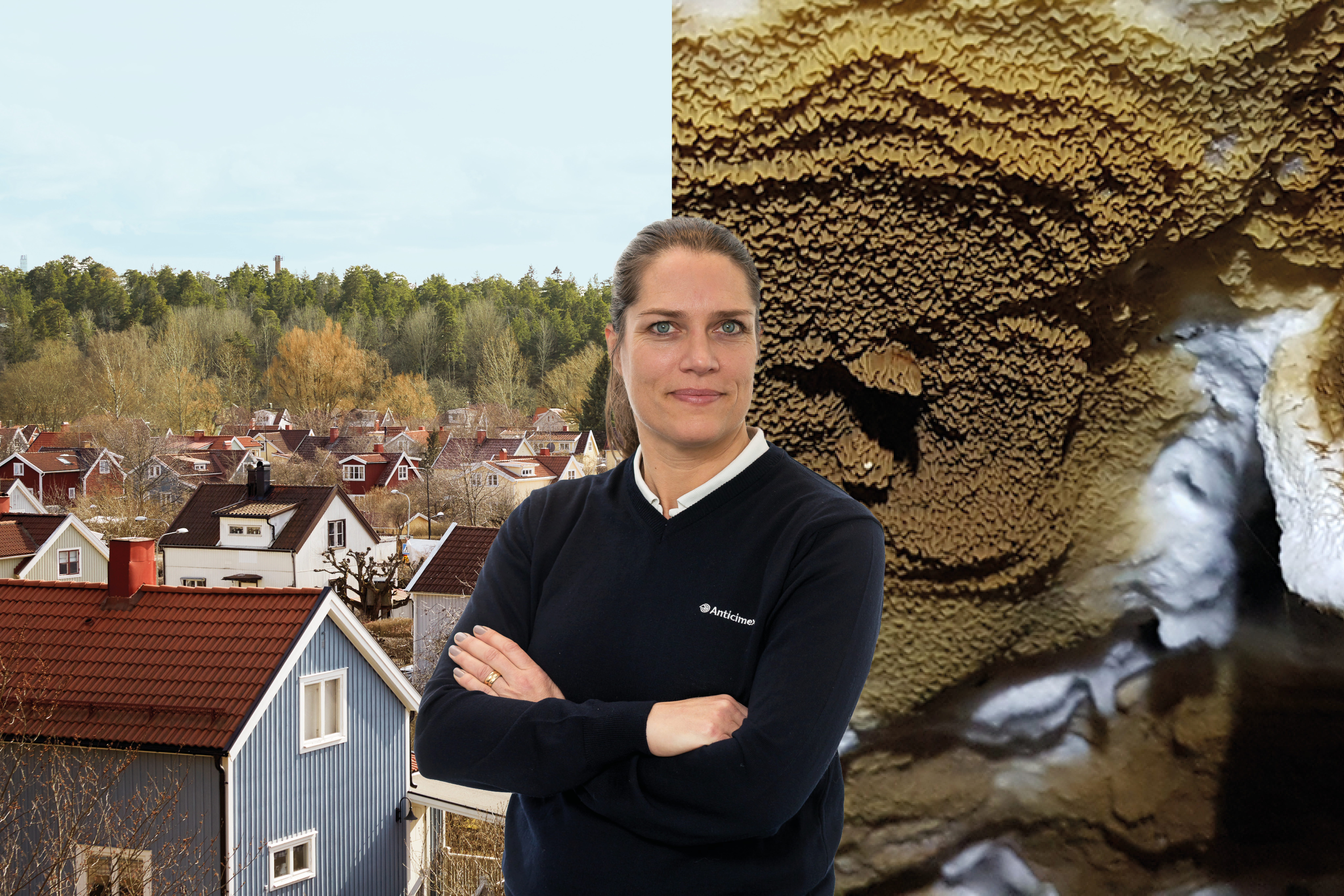 Collage med Anticimex husexpert Johanna Lindström med bakgrund av svenska småhus och hussvamp