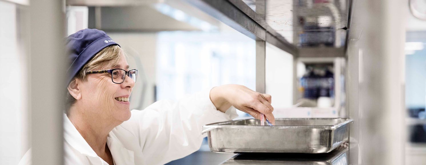 Anticimex matsäkerhetstekniker gör provtagning i kök