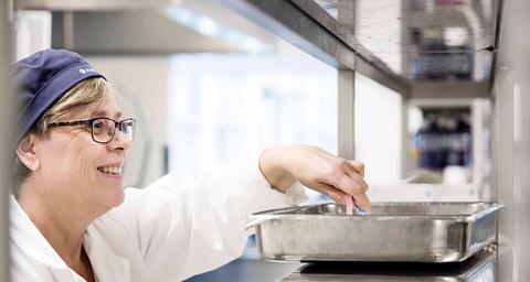 Anticimex matsäkerhetstekniker gör provtagning i kök