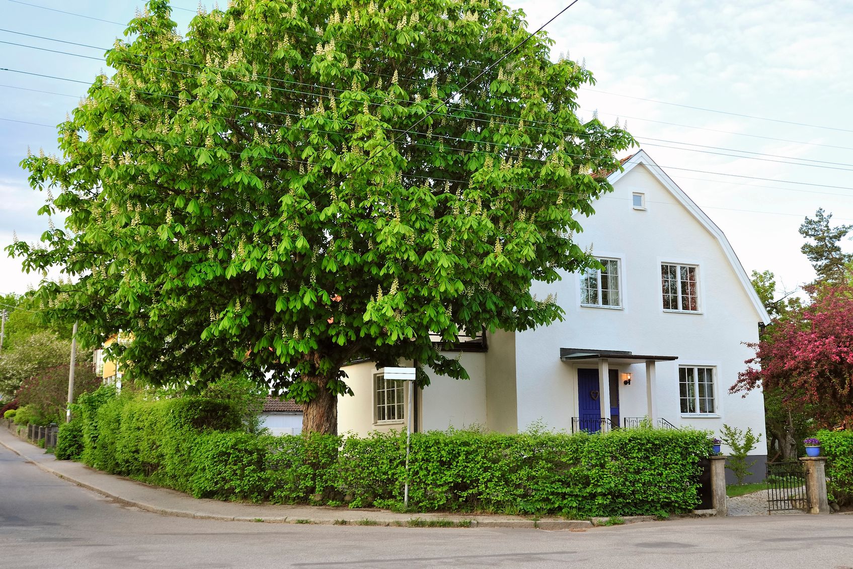 Vägen till ett långlivat hem – vikten av att ta hand om sitt hus 