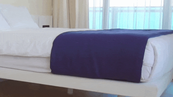 Ne laissez pas les punaises de lit gâcher vos vacances.