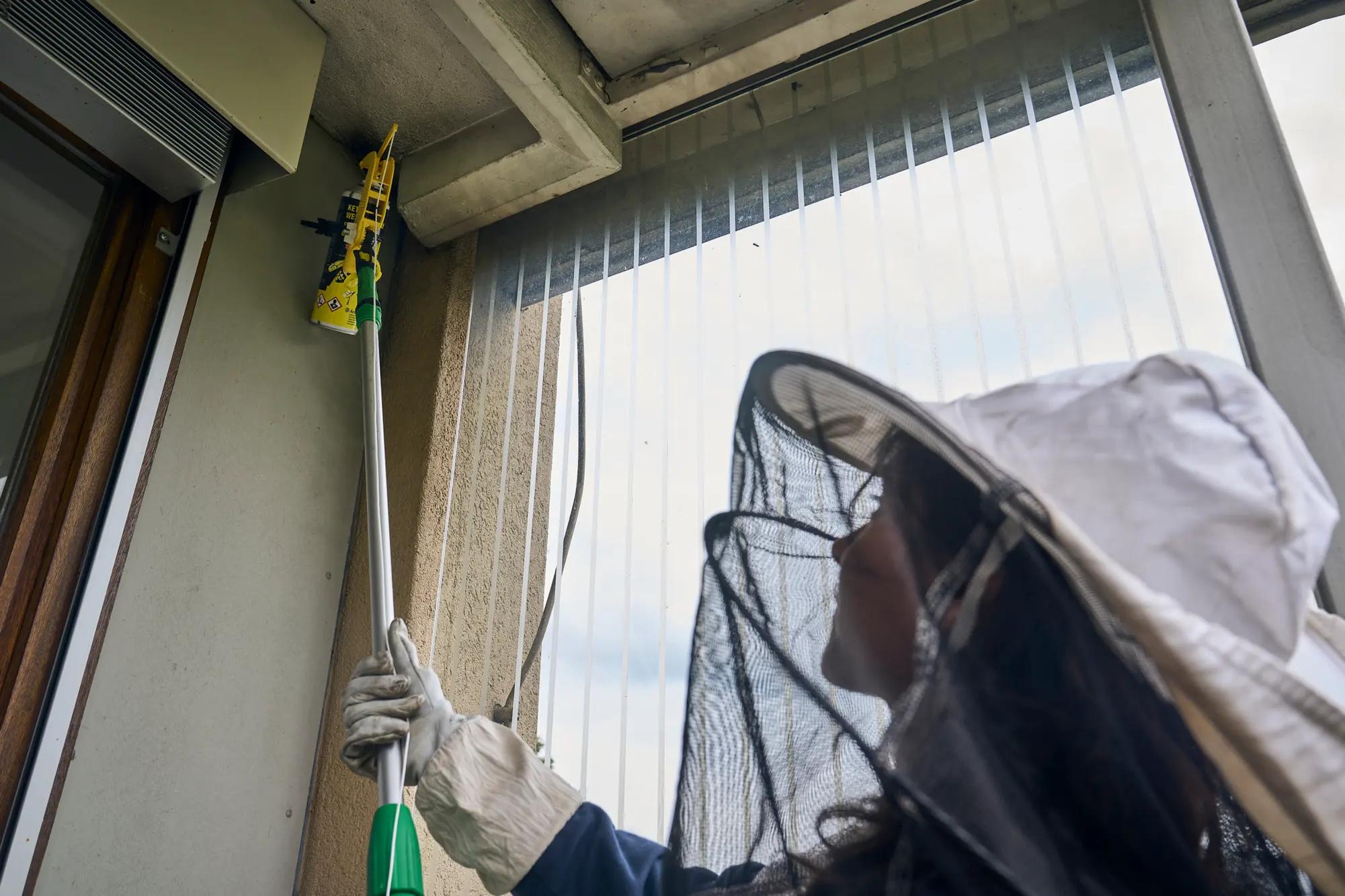BaZ-Reporterin Vivana Zanetti setzt Insektizide gegen ein Wespennest ein. Bald ist der Boden von toten Wespen bedeckt. Foto von Lucia Hunziker.
