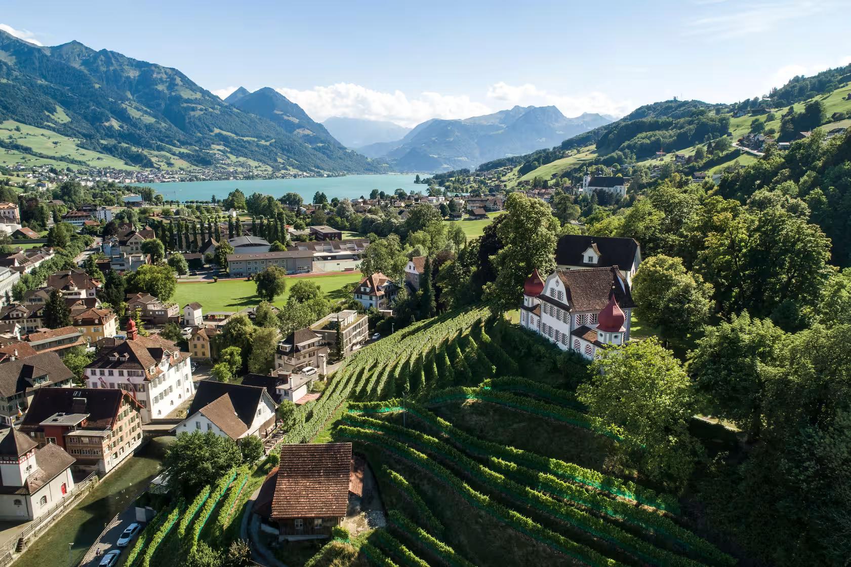 Aerial view of a lakeside town with vineyards and a historic building in the foreground, backed by mountains.