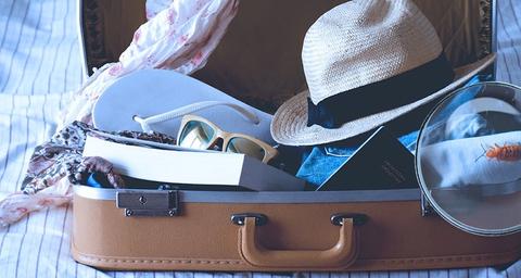 Rilevare le cimici dei letti nei bagagli. 