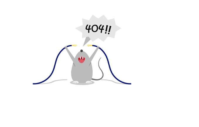 404 error page